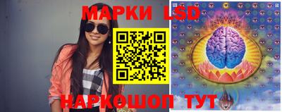 гидропоника Жуковский