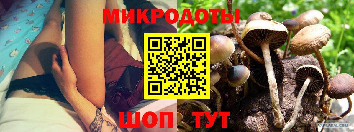 Галлюциногенные грибы мухоморы  Вход с VPN  Михайловка 